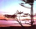 sunset2.jpg