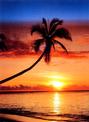 sunset4.jpg
